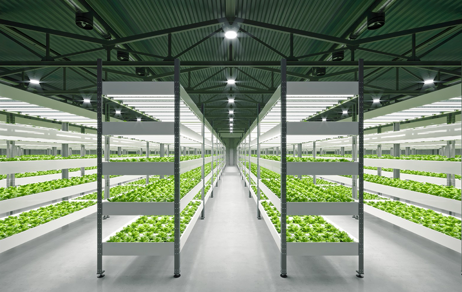 lewin乐玩官网-相信品牌力量